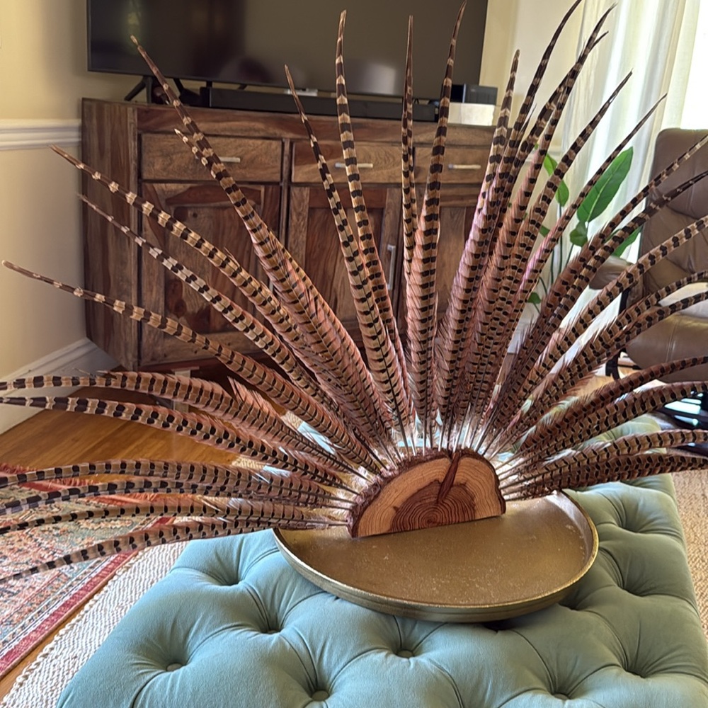 Decorative Feather Display from Fig and Rosewood